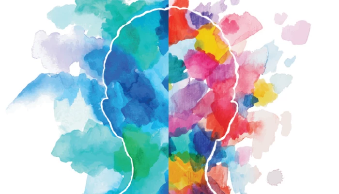 Deux côtés du cerveau.