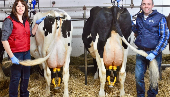 Ferme Jolipré Holstein, fière de la qualité du lait!