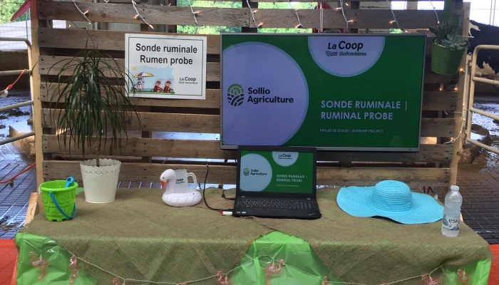 Sonde ruminale
