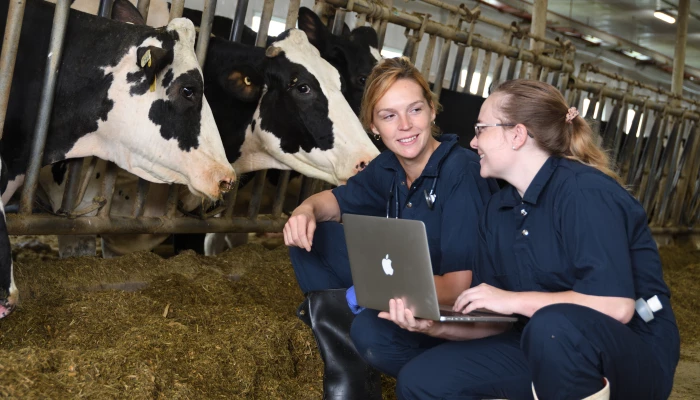 Gracieuseté de l’AMVPQ