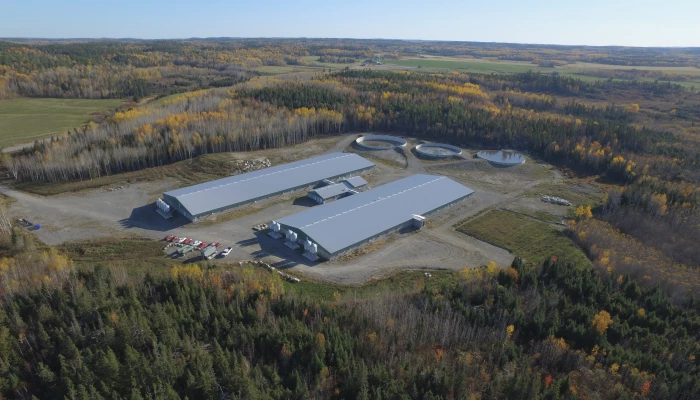 5e maternité de la Fermes Boréales.