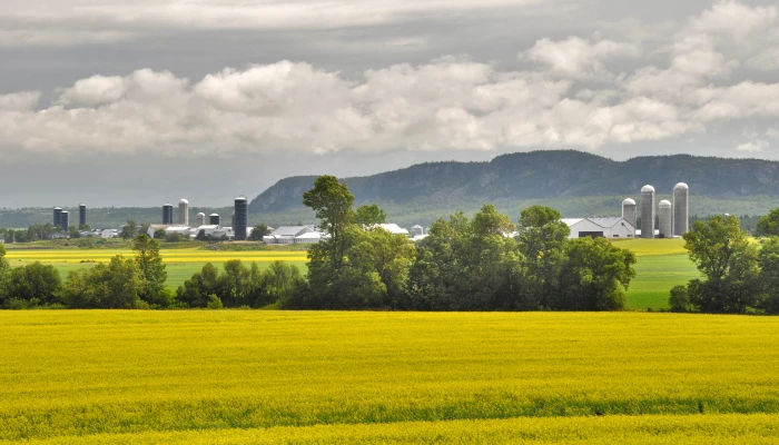Vue de loin de plusieurs fermes.