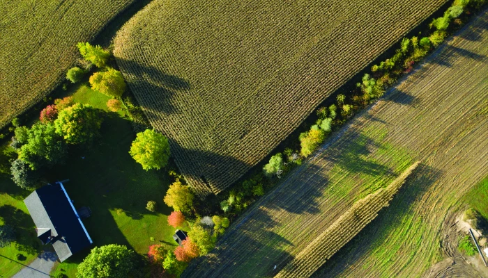 Vue du ciel d'une ferme