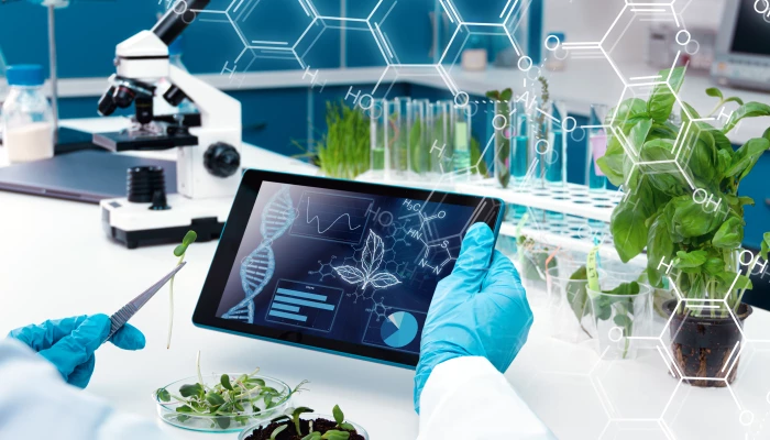 Scientifique réalisant une expérience sur des plantes.