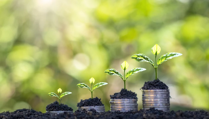 Plantes poussant sur des pièces de monnaie.