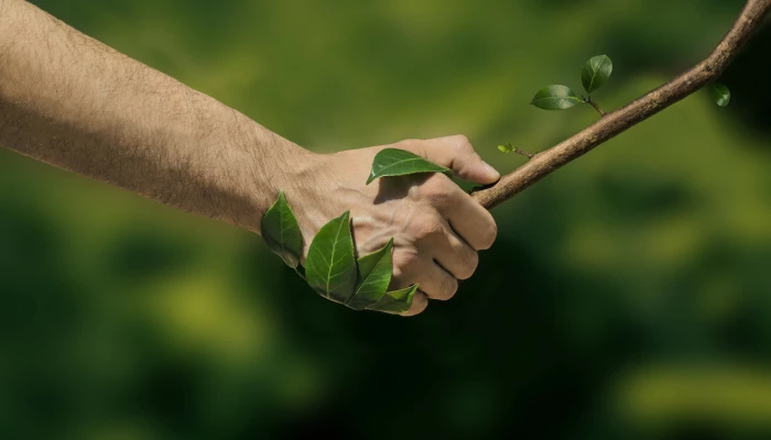 Poignée de main - main et arbre.