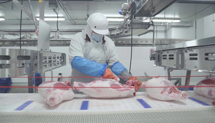 Travail de découpe dans une usine d'Olymel