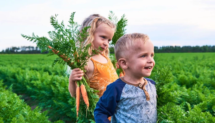 Des enfants dans un champ.