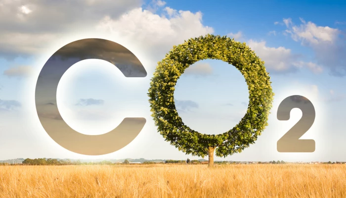 CO2 dans un champ.