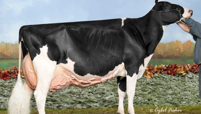 Blondin Goldwyn Subliminal EX-97 4E usa