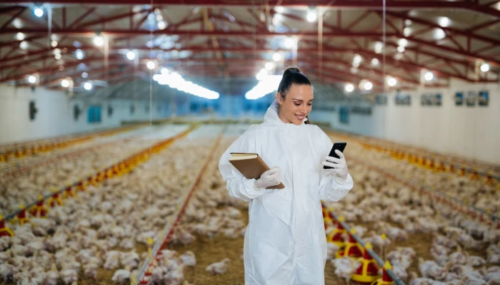 Photo d'une productrice dans un bâtiment avicole.