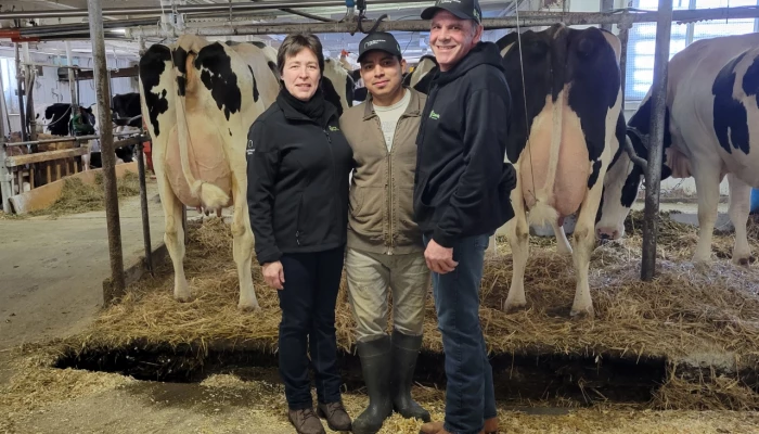 Trio de la Ferme Chantal