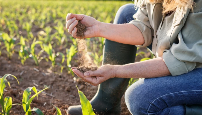 Une femme glisse de la terre entre ses doigts.