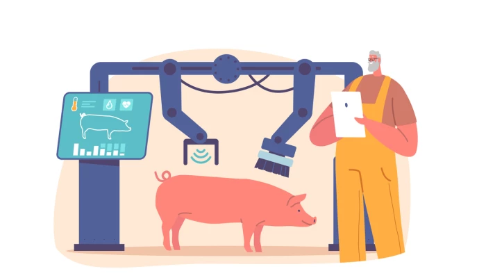 Illustration de porc