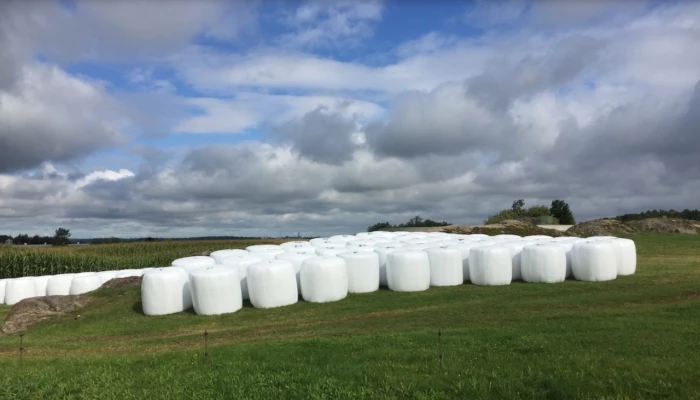 Balles de foin enveloppées dans un plastique
