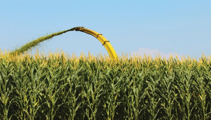 Machinerie récoltant le maïs