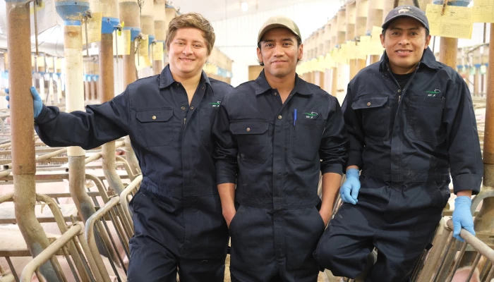 Manuel Gasparico, José Regalado et Edwin Muj dans la porcherie