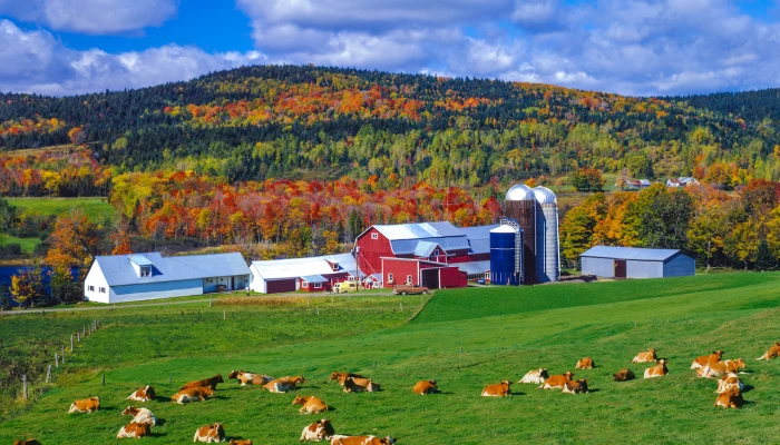 Ferme américaine
