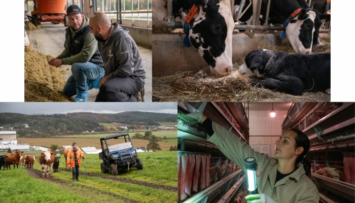 Mosaïque représentant les coulisses du Prix relève Sollio