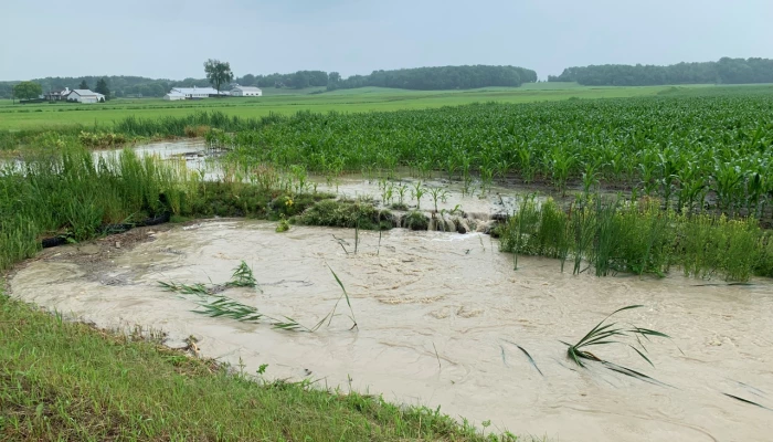 Champ lessivé par la pluie