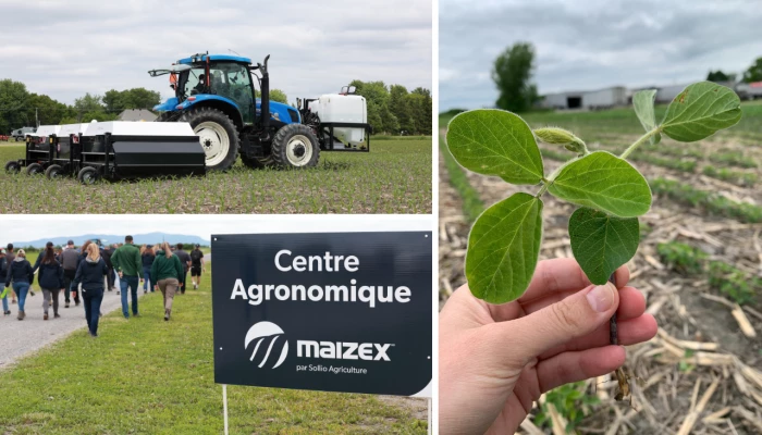 Mosaïque - Ferme de recherche