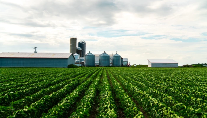 Un champ avec des silos en fond