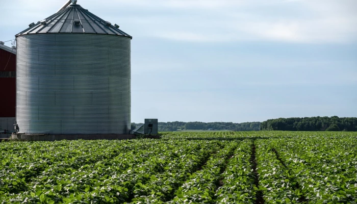 Champ de soya avec un silo séchoire