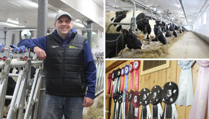 Jean-Pierre Breton avec ses vaches et ses prix
