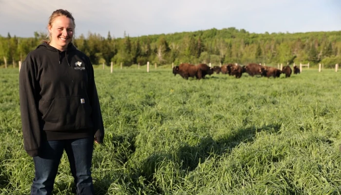 Anouk Caron devant son troupeau de bisons