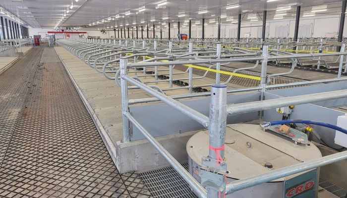 Intérieur d'une étable laitière