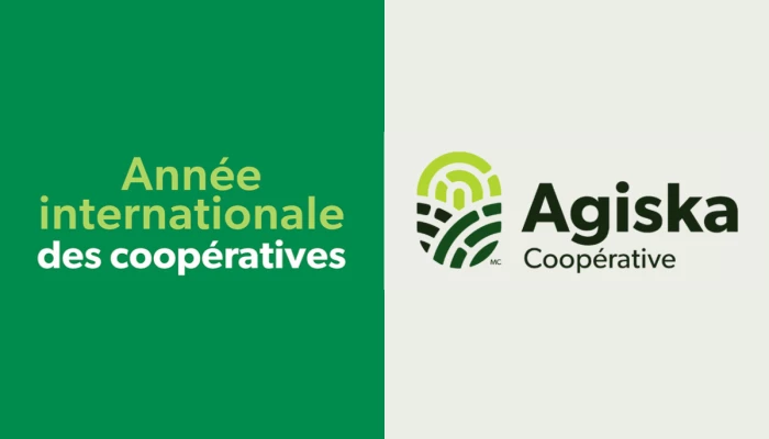 Visuel de l'Année internationale des coopératives avec le logo d'Agiska Coopérative