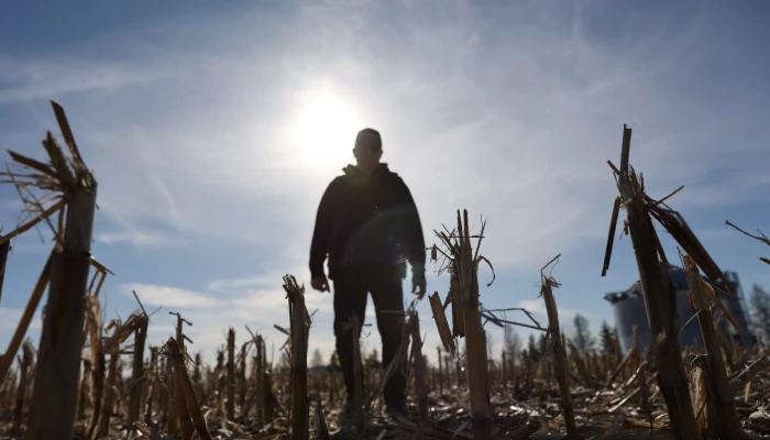 Homme dans un champ à contre-jour