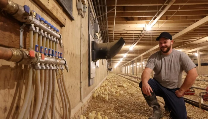 Douglas Bryson dans son poulailler