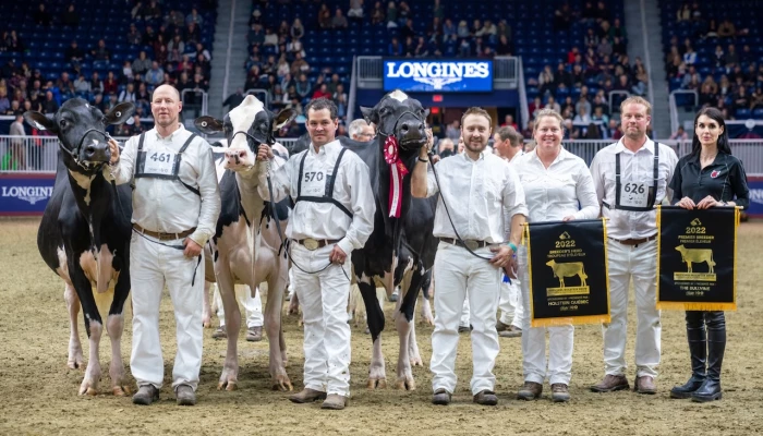 La vache Blondin Unstopabull Maple TB-88, élevée par le Ferme Blondin située à Saint-Placide, a été couronnée Championne Suprême de la RAWF 2022.