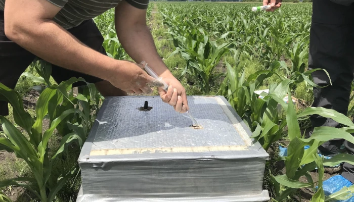 Chambres sans écoulement continu