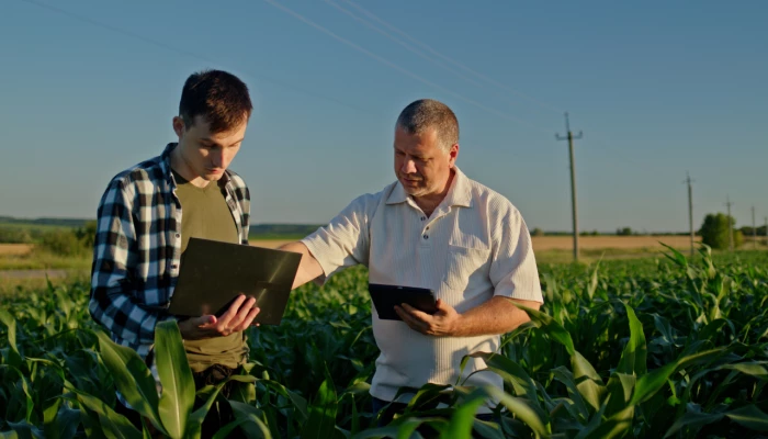 Deux hommes dans un champs regardant des résultats