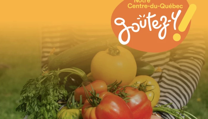 Guide des bonne pratique pour un kiosque libre-service