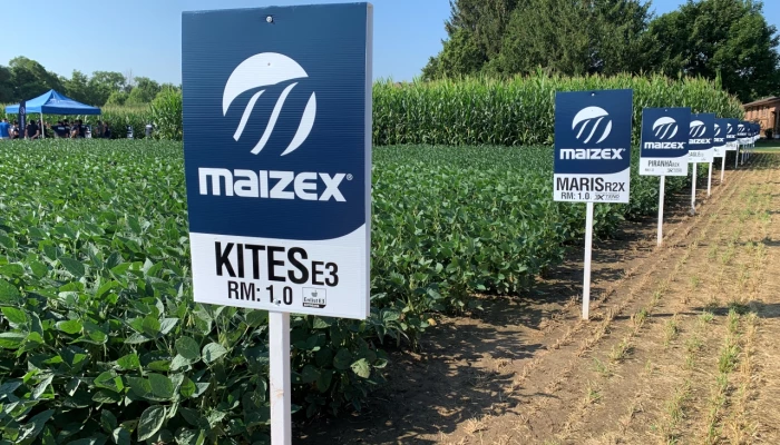 Nouvelle image de marque de Semences Maizex