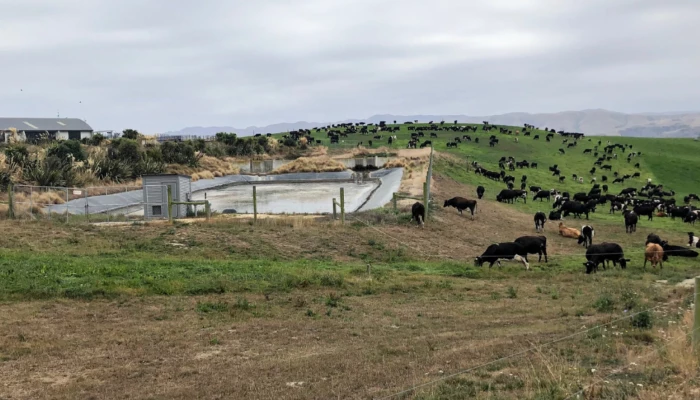 Fosse liquide de la ferme de Matt Ross, en Nouvelle-Zélande