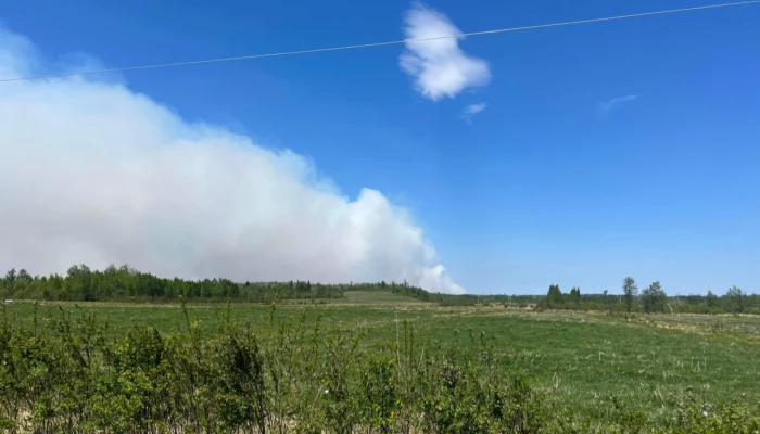 Fumée de l'incendie de forêt à l'horizon