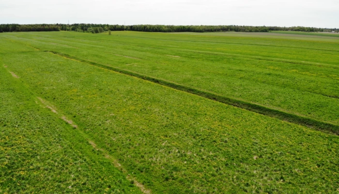Paysage de champ verts avec des longues parcelles horizontales.
