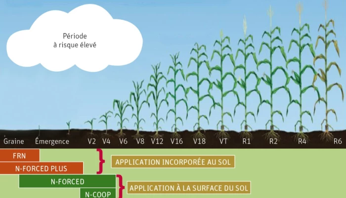 Stades d’application des protecteurs d’azote en fonction de la gestion du risque.