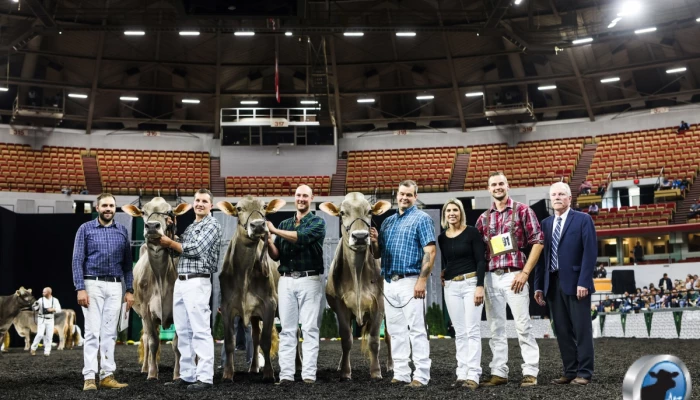 Ferme Brown Heaven, propriété Dave Rousseau et Josée Charron, Verchère, QC. 1er troupeau d’éleveur Suisse Brune WDE 2022.