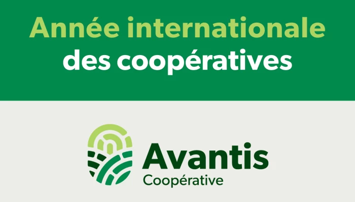 Logo de l'Année internationale des coopératives et logo d'Avantis Coopérative