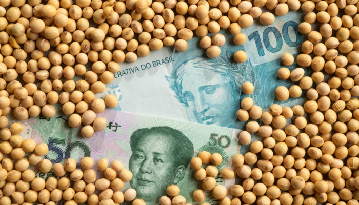 De l'argent chinois et brésilien sous des grains de soya