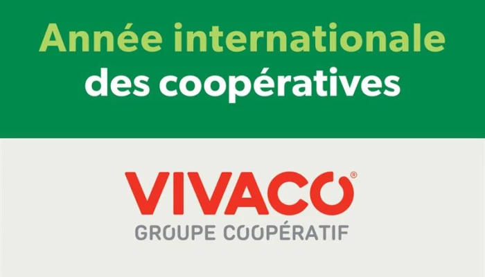 Logo de l'Année internationale des coopératives et logo de VIVACO groupe coopératif