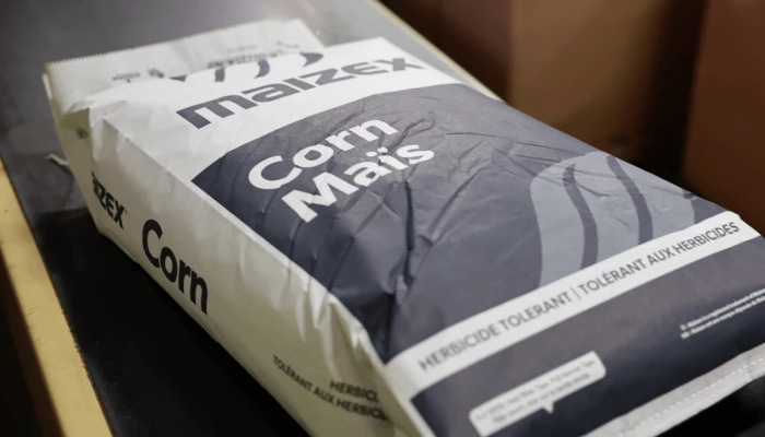 Sac de maïs Semences Maizex