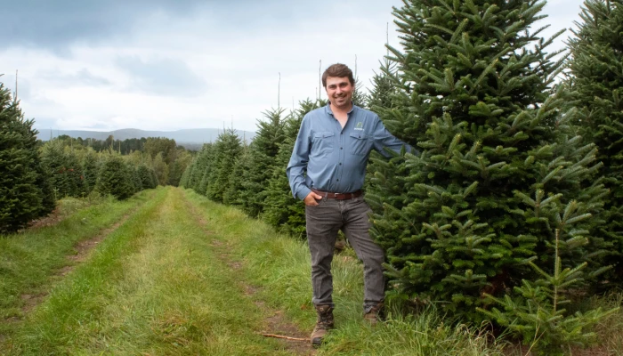 Jimmy Downey de Sapinière & pépinière Downey