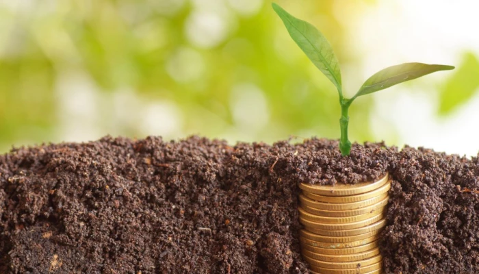 Monnaie sous terre qui donne naissance a une pousse