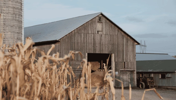 Une grange à foin en automne